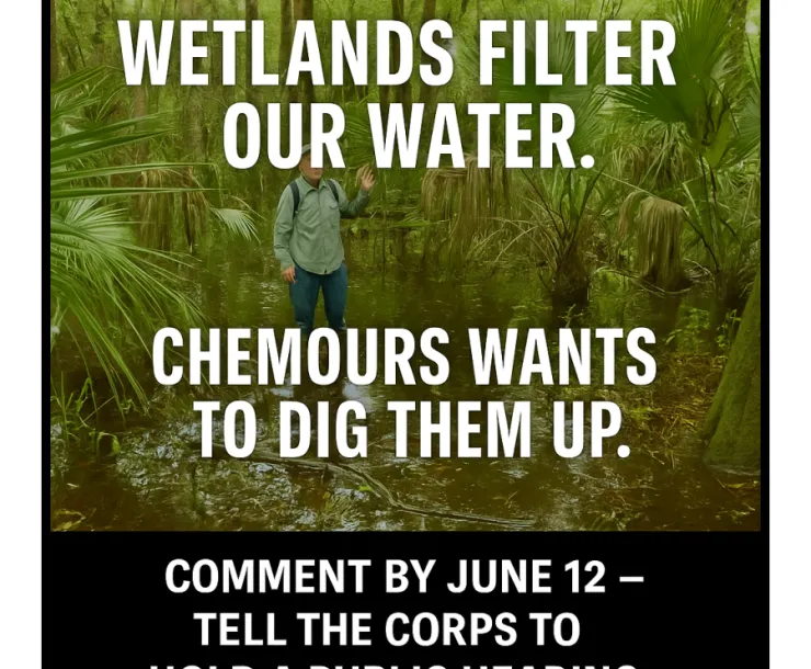 Photo of Santa Fe Swamp wetlands