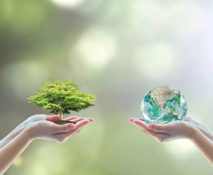 earth hands