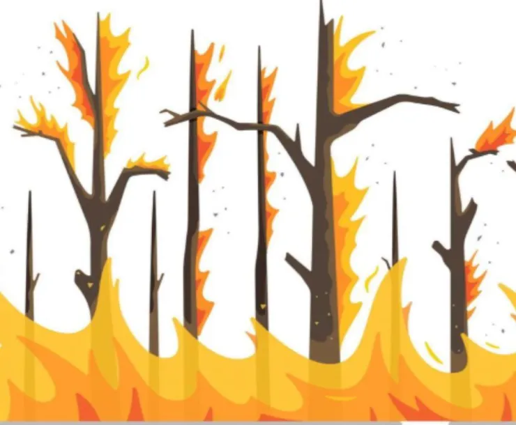 Fire hazard severity zone