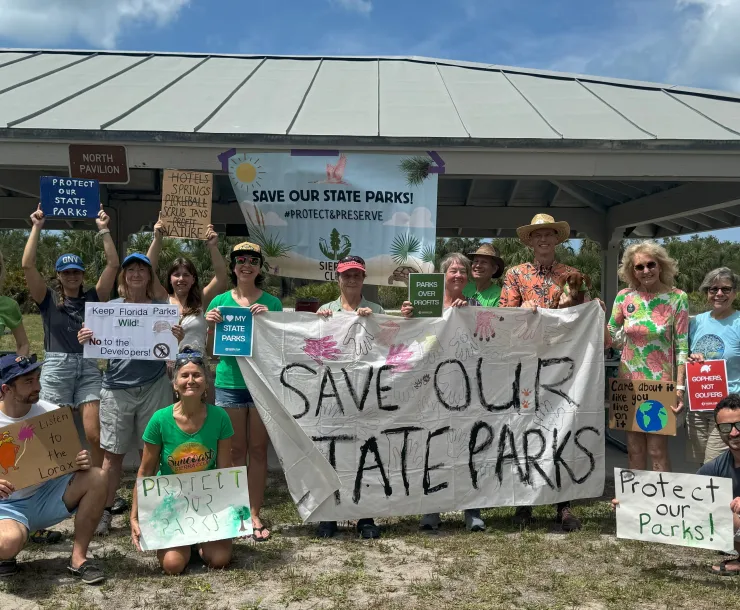Group of protesters holding Save our Park signs
