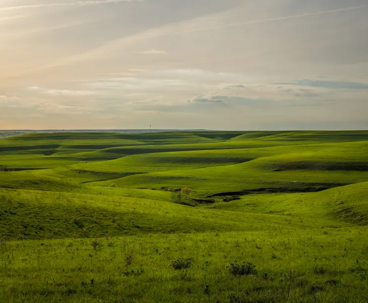 rollilng green hills