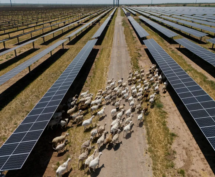 An aerial view of the Azure Sky Solar Project in Haskell, Texas, on August 12, 2024. Credit: Ramsay de Give/The Washington Post via Getty Images