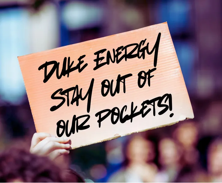 A photo of a sign held aloft that reads DUKE ENERGY STAY OUT OF OUR POCKETS