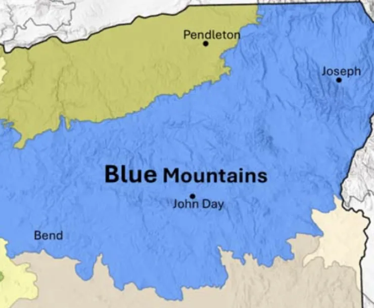 A graphic map of the Blue Mountains ecoregion in Eastern Oregon
