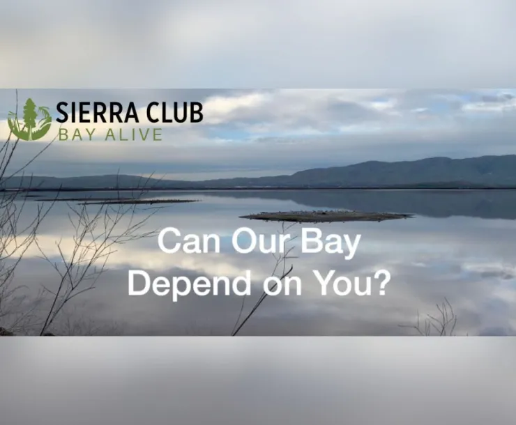 Can our Bay depend on you?
