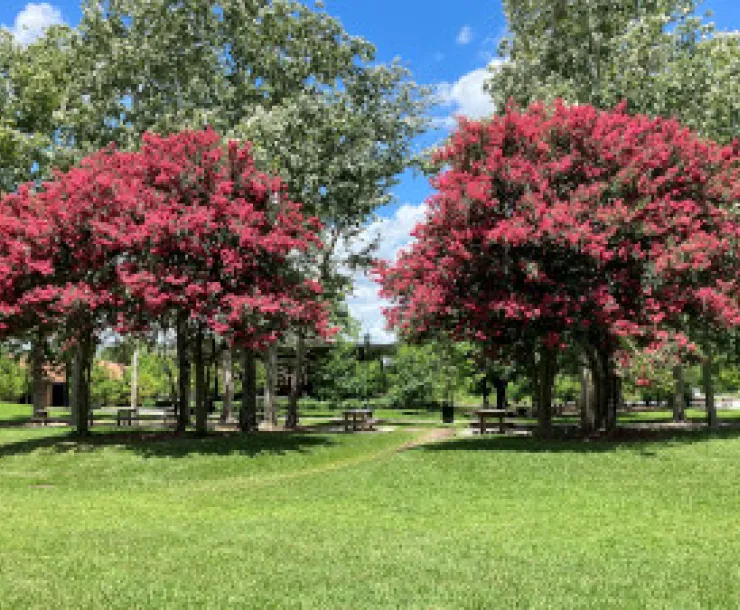 Hermann Park Houston