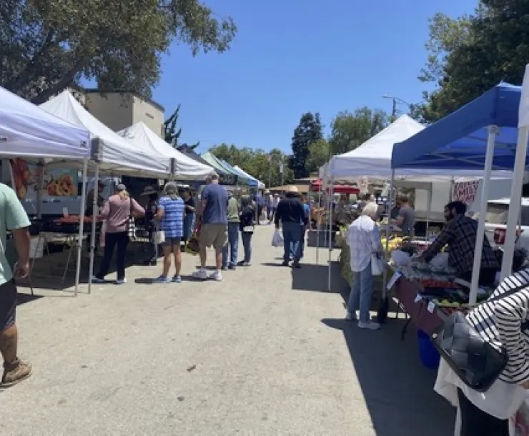 Picture of Los Osos Farmers Market