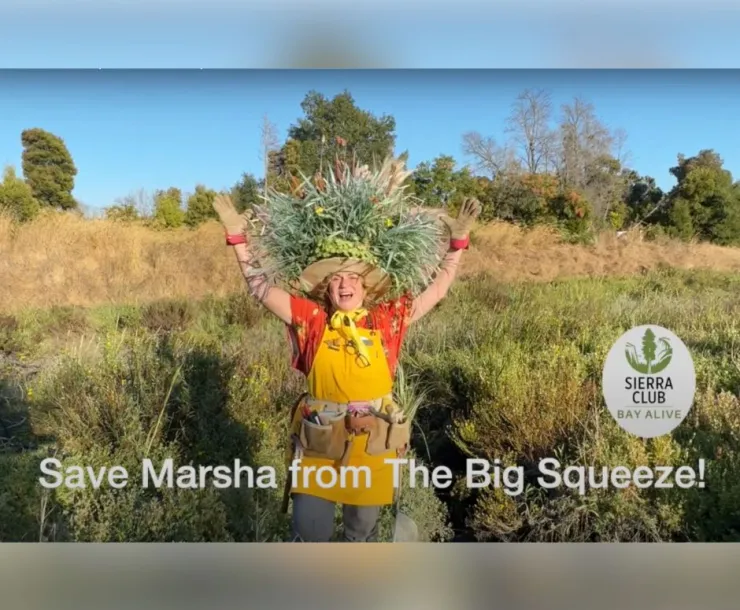 Save Marsha from the big squeeze