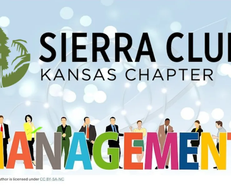 men and women in suites standing behind Management Letters