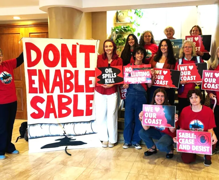 Don't enable Sable