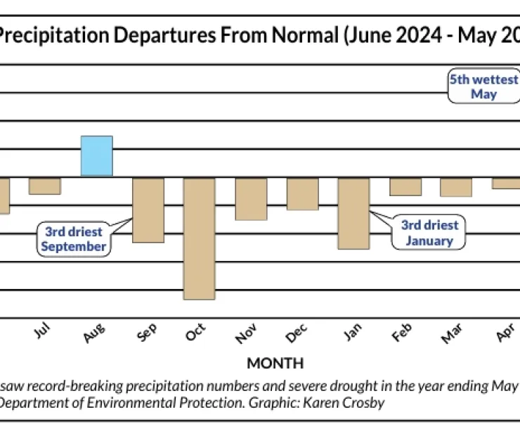 Precipitation Departures from Normal