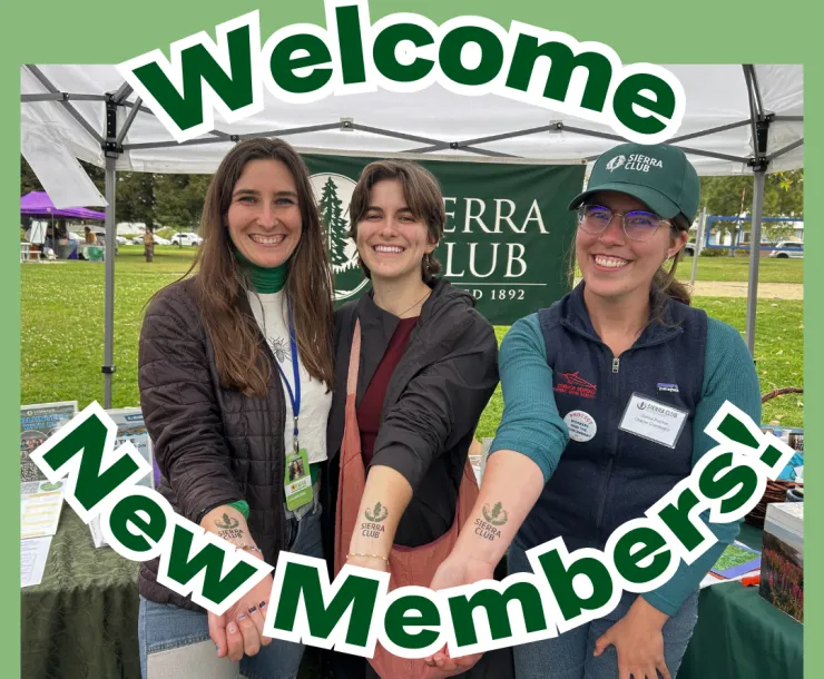 Three people displaying Sierra Club temporary tatoos