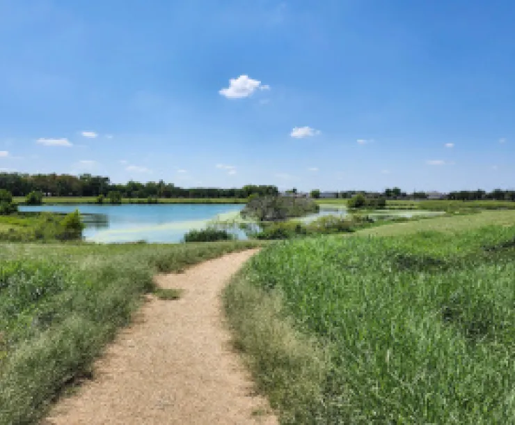 Delores Fenwick Nature Center 