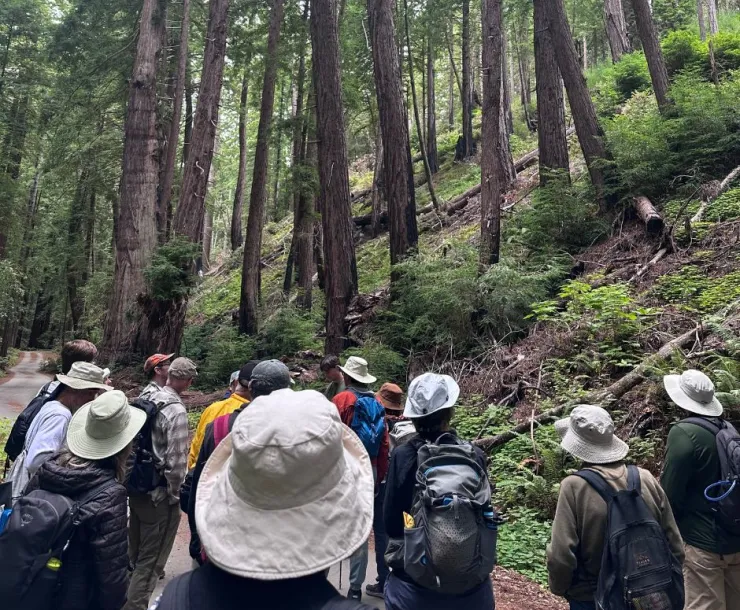 Forest educational hike