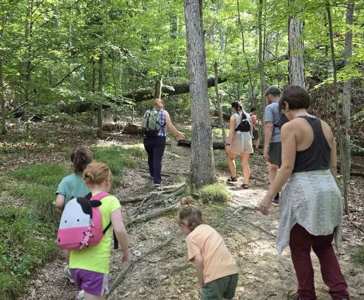 A group of seven adults and children walking in the woods. They all have their backs to the camera and are concentrating on the trail and navigating the roots of the trees and observing the nature around them. It's a sunny day and dapples of sunlight are on the forest floor.
