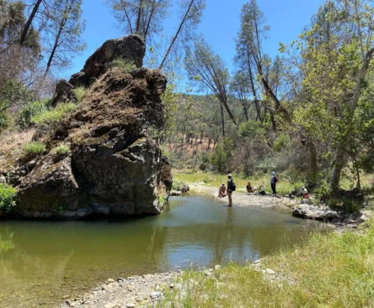 Pacheco Reservoir