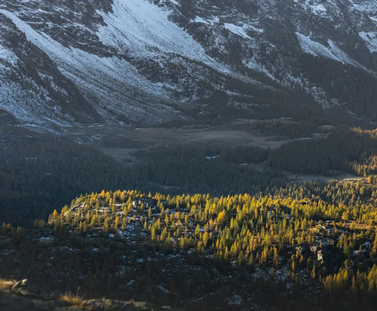 Mountain and Valley