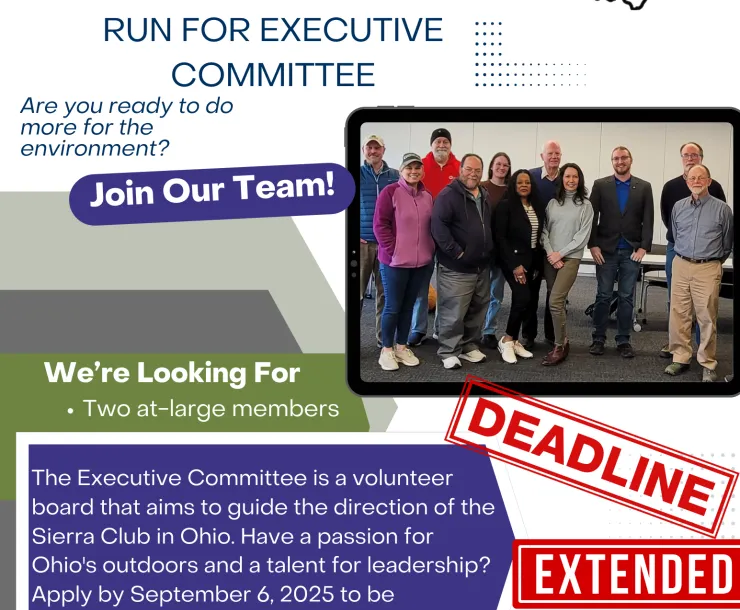 SCO Recruitment-flyer 