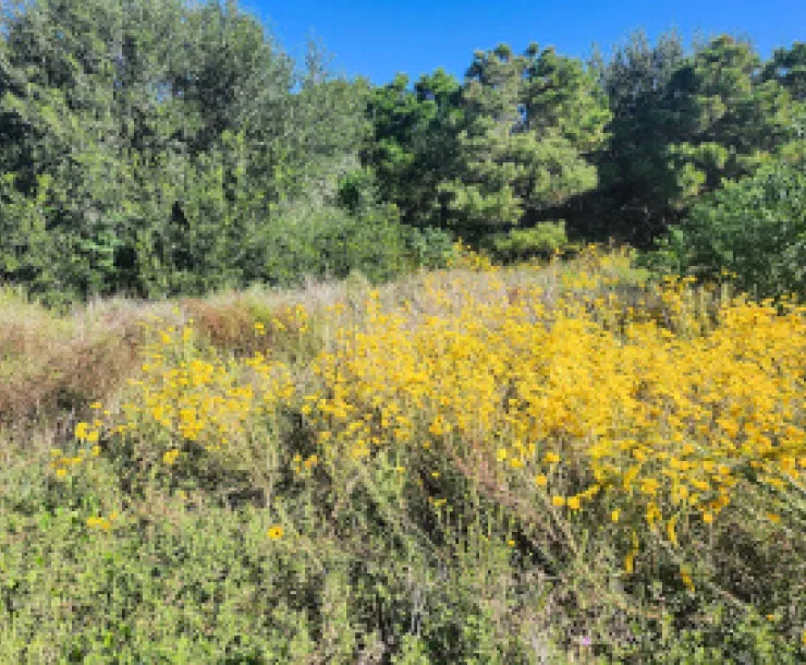 Wildlife Refuge