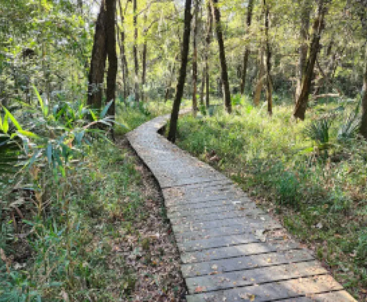 nature preserve