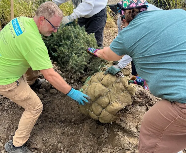 Tree Planting