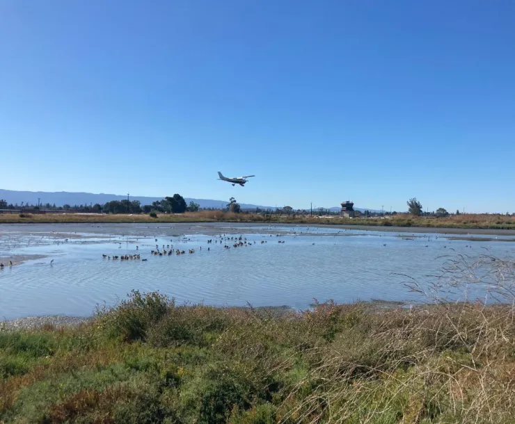Palo Alto Airport
