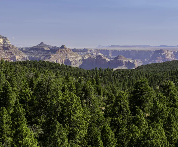 a panoramic view of the monument