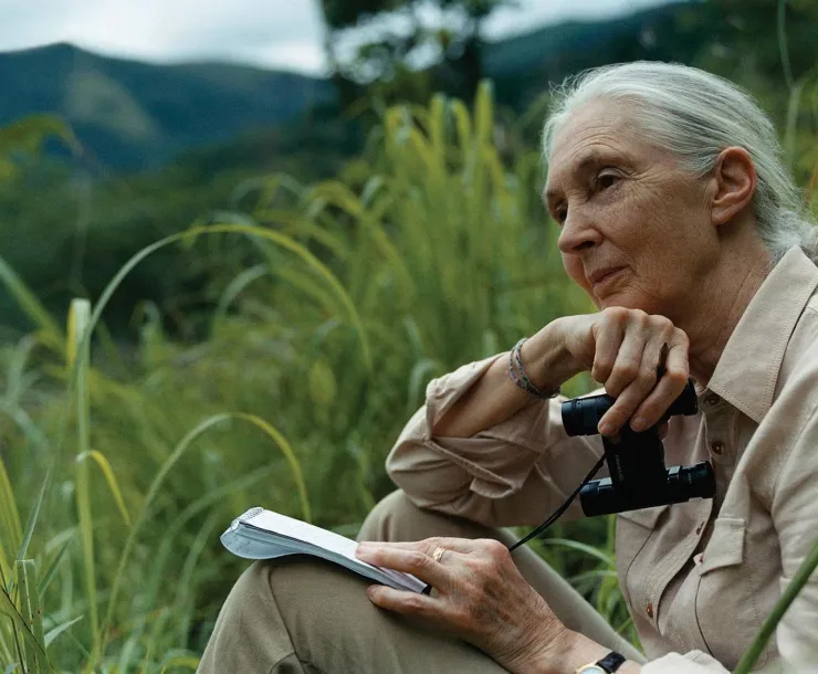 Jane Goodall with binoculars