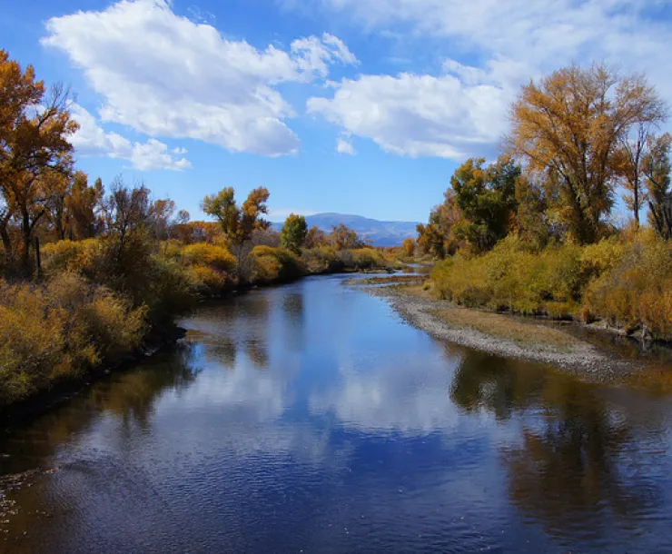 rio grande