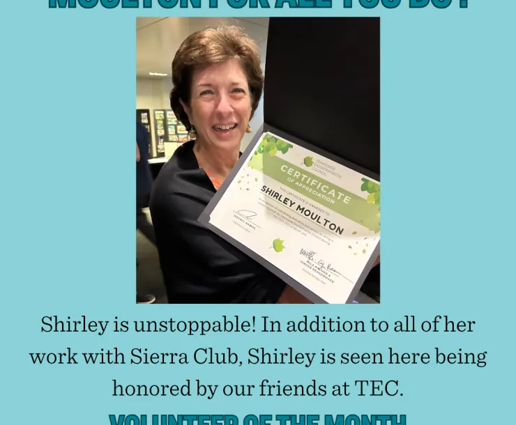 Shirley Moulton VOTM 2510