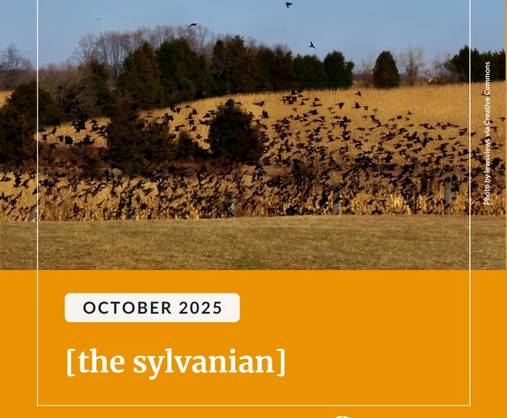A large of Canadian geese in a fall field. Below an orange background with white text reads, "October 2025 [the sylvanian] Read the full issue at bit.ly/4mT6VZp