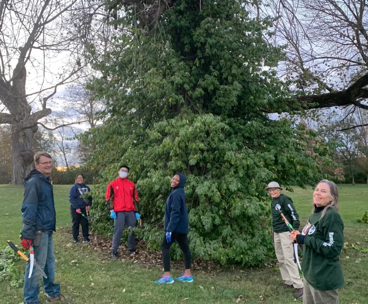 Six people stood around a large tree covered in green invasive wintercreeper so the branches are barely visible