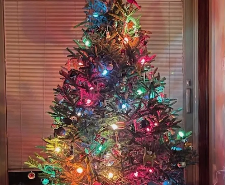 Holiday Decor