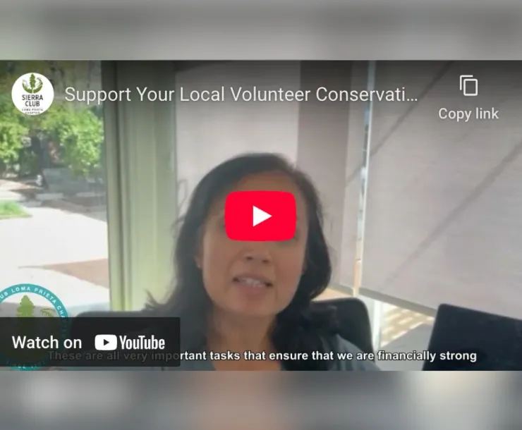Support local volunteers