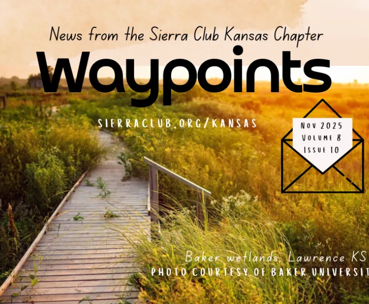 Waypoints Nov Header