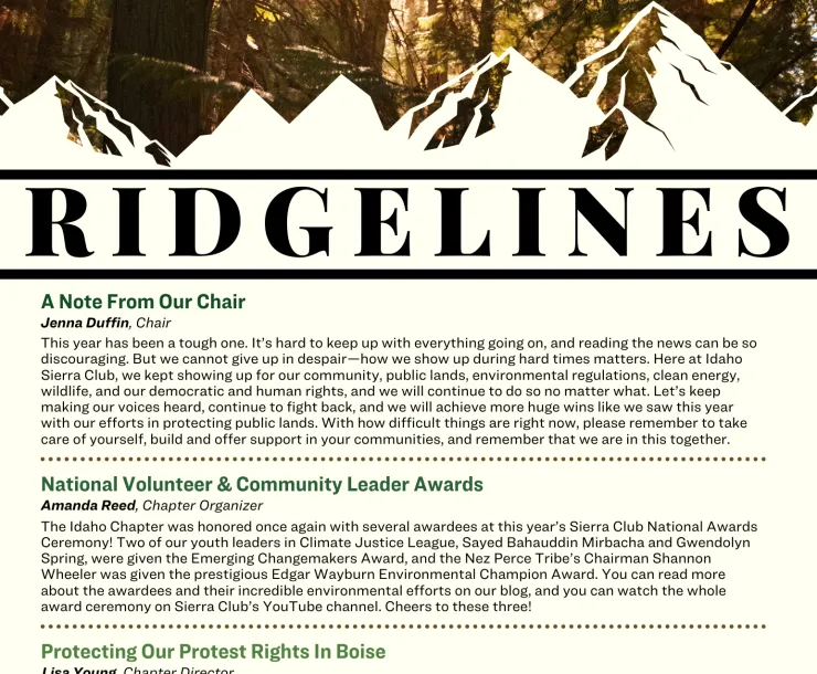 screenshot of first page of newsletter