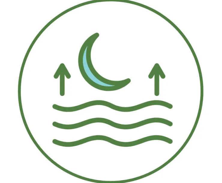 High Tide