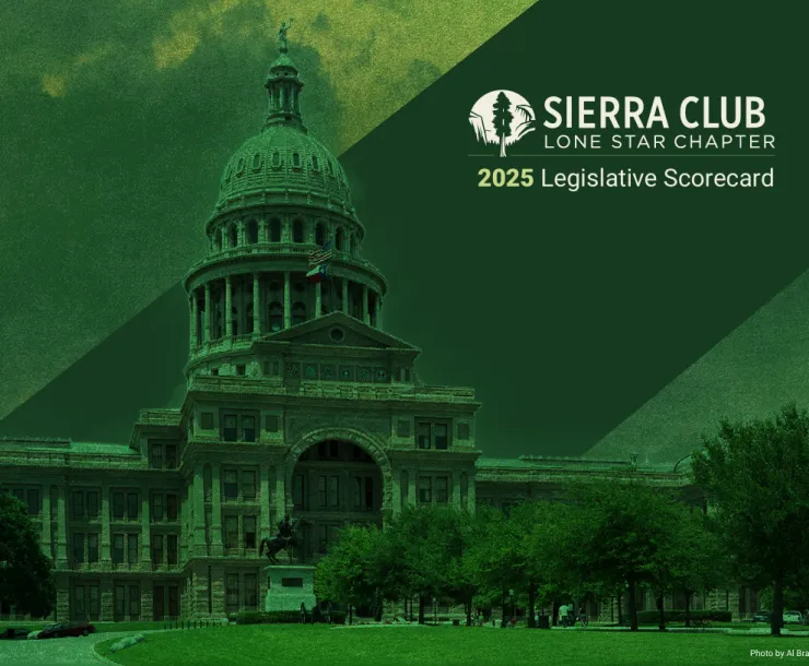 scorecard front page 2