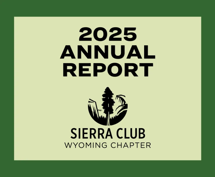 2025 Annual Report graphic