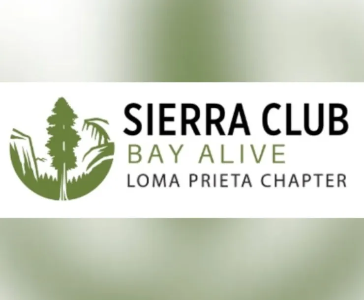 Bay Alive Loma Prieta