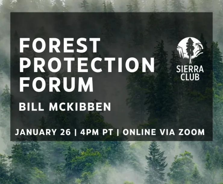Forest Protection Forum