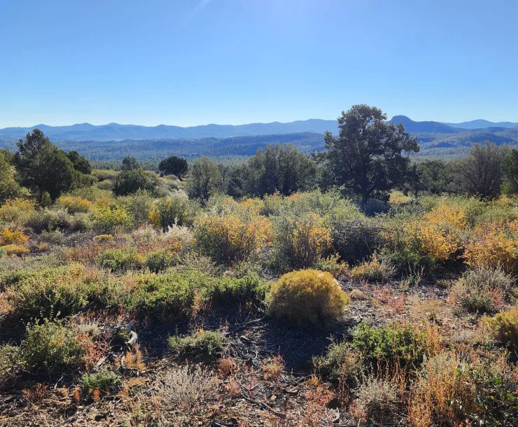 a landscape shot in the Prescott Valley