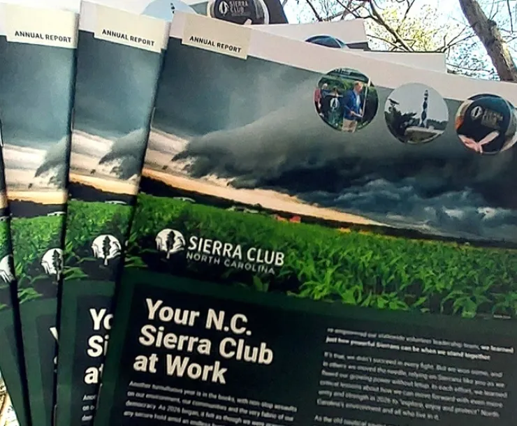 Copies of the NC Sierra Club's annual report are seen against a background of tree branches