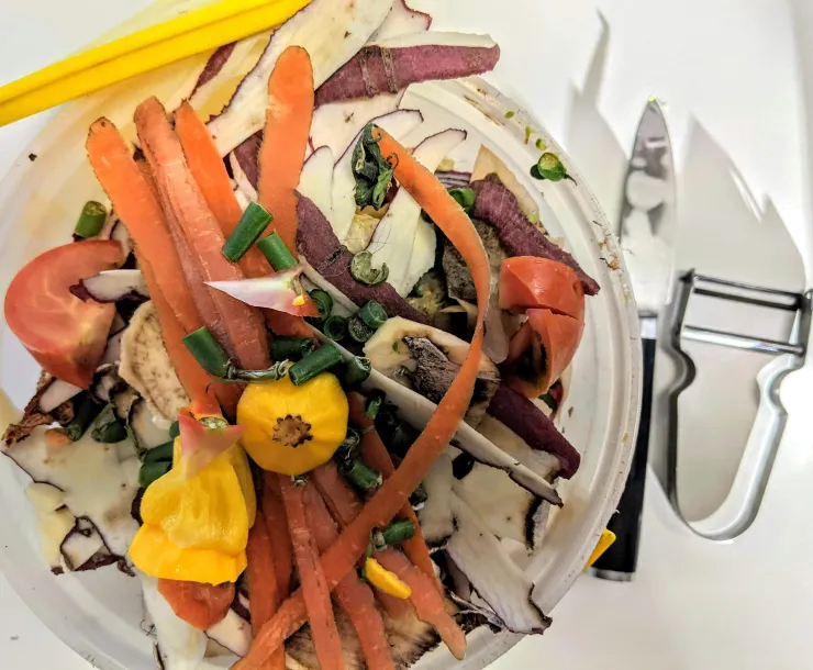 Recycled Food Waste