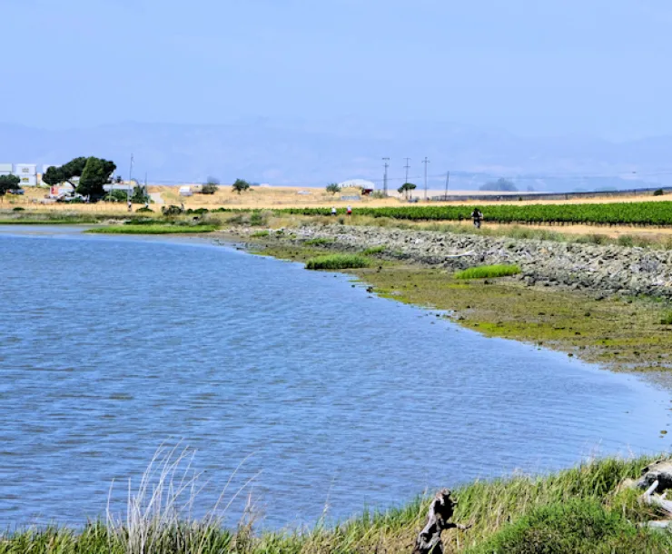 AC wetlands next to Green Island 
