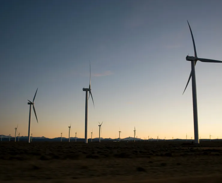 Windmills silhouetted against the sky at sunset. 