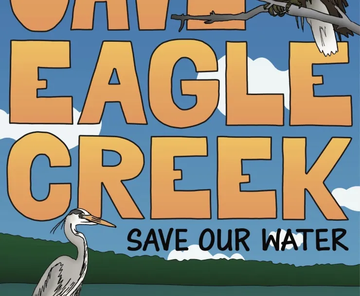 An illustration with big orange letters saying SAVE EAGLE CREEK Save Our Water. There illustration is of a blue sky, with white clouds, and an Eagle perching on a branch. There is a water body with trees and a heron on a log, and a duck on the water.