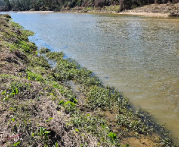 Montgomery preserve