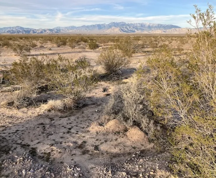 Bonanza Peak Solar site in the distance