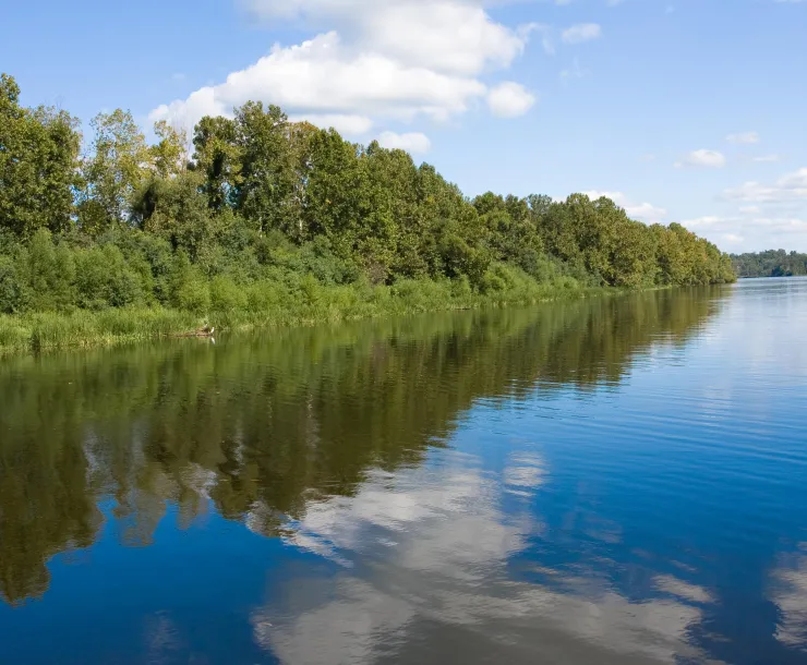 View of the Alabama River with clouds and blue sky reflecting in the water.